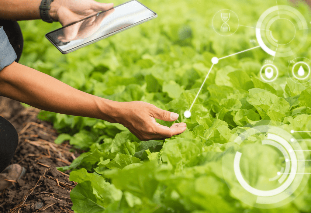 EL FUTURO DE LA&nbsp;ALIMENTACIÓN